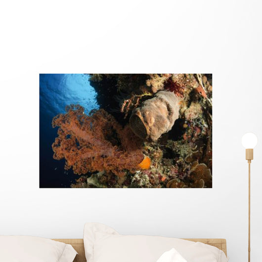 Soft Coral Seascape Indonesia Wall Decal Design 2