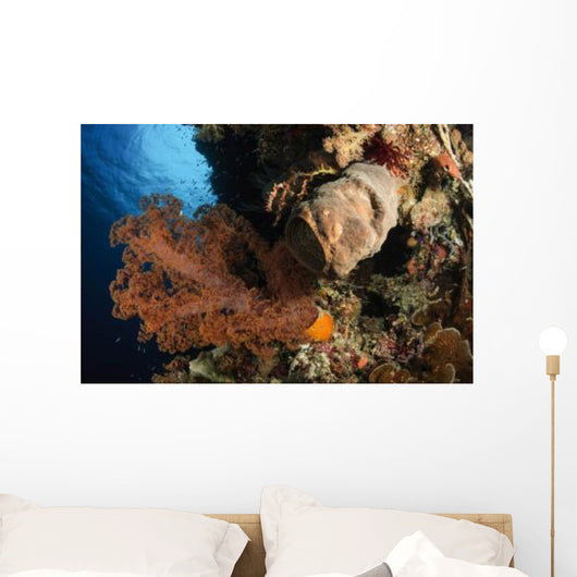 Soft Coral Seascape Indonesia Wall Decal Design 2