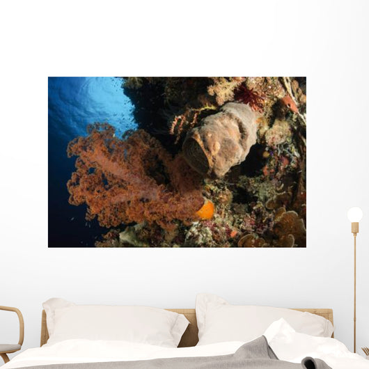 Soft Coral Seascape Indonesia Wall Decal Design 2