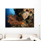 Soft Coral Seascape Indonesia Wall Decal Design 2