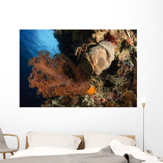 Soft Coral Seascape Indonesia Wall Decal Design 2