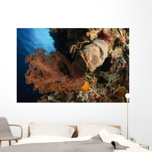 Soft Coral Seascape Indonesia Wall Decal Design 2