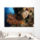 Soft Coral Seascape Indonesia Wall Decal Design 2