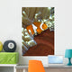 Clown Anemonefish Anemone Great Wall Decal