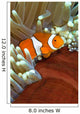 Clown Anemonefish Anemone Great Wall Decal