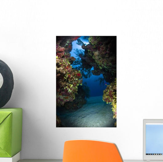 Underwater Crevice through Coral Wall Decal
