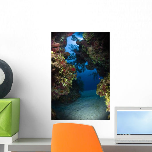 Underwater Crevice through Coral Wall Decal