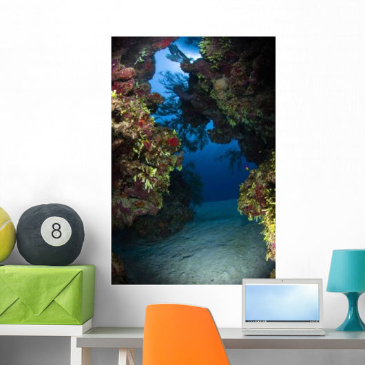 Underwater Crevice through Coral Wall Decal