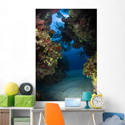 Underwater Crevice through Coral Wall Decal