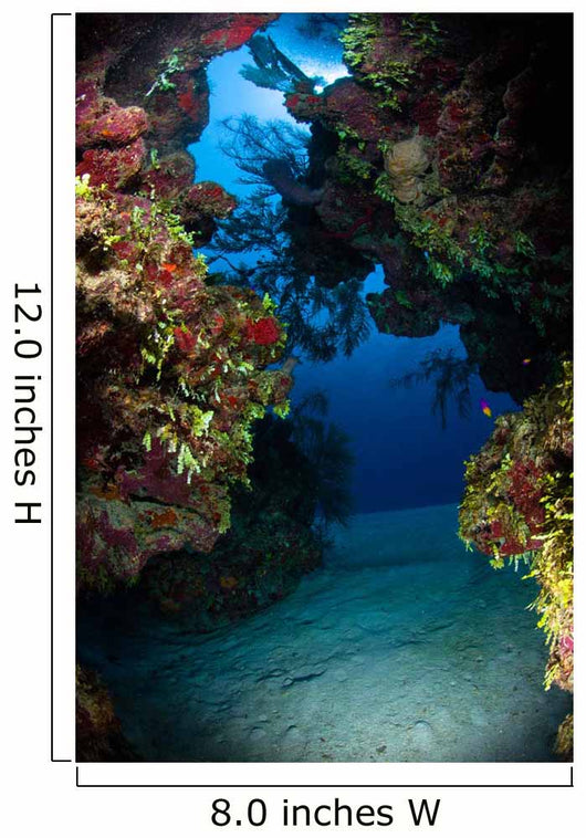 Underwater Crevice through Coral Wall Decal