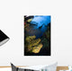 Diver Swims over Reef Wall Decal