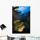 Diver Swims over Reef Wall Decal