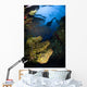 Diver Swims over Reef Wall Decal
