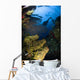 Diver Swims over Reef Wall Decal