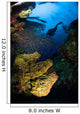 Diver Swims over Reef Wall Decal