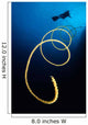Diver Swims above Whip Wall Decal