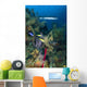 Great Barracuda Belize Wall Decal Design 1