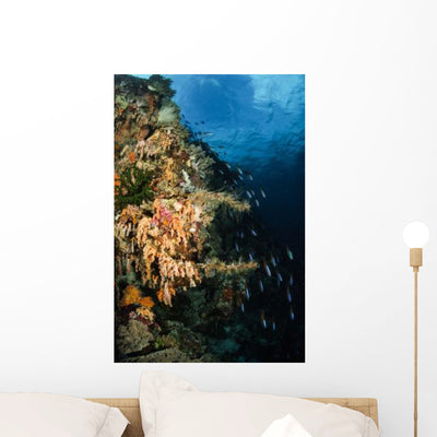 Soft Coral Seascape and Wall Decal shown on a wall