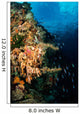 Soft Coral Seascape and Wall Decal