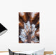 Extreme Close-up Showing Detail Wall Decal