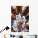 Extreme Close-up Showing Detail Wall Decal