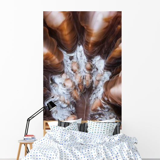 Extreme Close-up Showing Detail Wall Decal