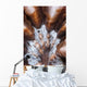 Extreme Close-up Showing Detail Wall Decal