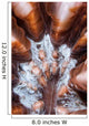 Extreme Close-up Showing Detail Wall Decal