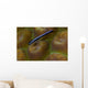 Close-up Goby Coral Belize Wall Decal