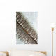 Goby Sea Pen Indonesia Wall Decal Design 2