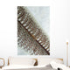 Goby Sea Pen Indonesia Wall Decal Design 2
