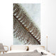 Goby Sea Pen Indonesia Wall Decal Design 2