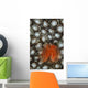 Christmas Tree Worm Coral Wall Decal