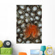 Christmas Tree Worm Coral Wall Decal