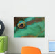 Close-up Parrotfish Eye Belize Wall Decal