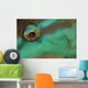 Close-up Parrotfish Eye Belize Wall Decal