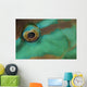 Close-up Parrotfish Eye Belize Wall Decal