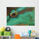 Close-up Parrotfish Eye Belize Wall Decal