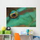 Close-up Parrotfish Eye Belize Wall Decal