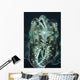 Cuttlefish Indonesia Wall Decal Design 1