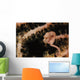 Pygmy Seahorse Indonesia Wall Decal Design 1