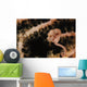 Pygmy Seahorse Indonesia Wall Decal Design 1