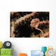 Pygmy Seahorse Indonesia Wall Decal Design 1