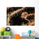 Pygmy Seahorse Indonesia Wall Decal Design 1