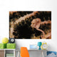 Pygmy Seahorse Indonesia Wall Decal Design 1