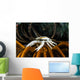 Squat Lobster Carrying Eggs Wall Decal