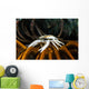 Squat Lobster Carrying Eggs Wall Decal