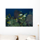 Schoolmasters Belize Wall Decal