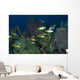 Schoolmasters Belize Wall Decal