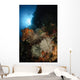Seascape Crinoids Indonesia Wall Decal